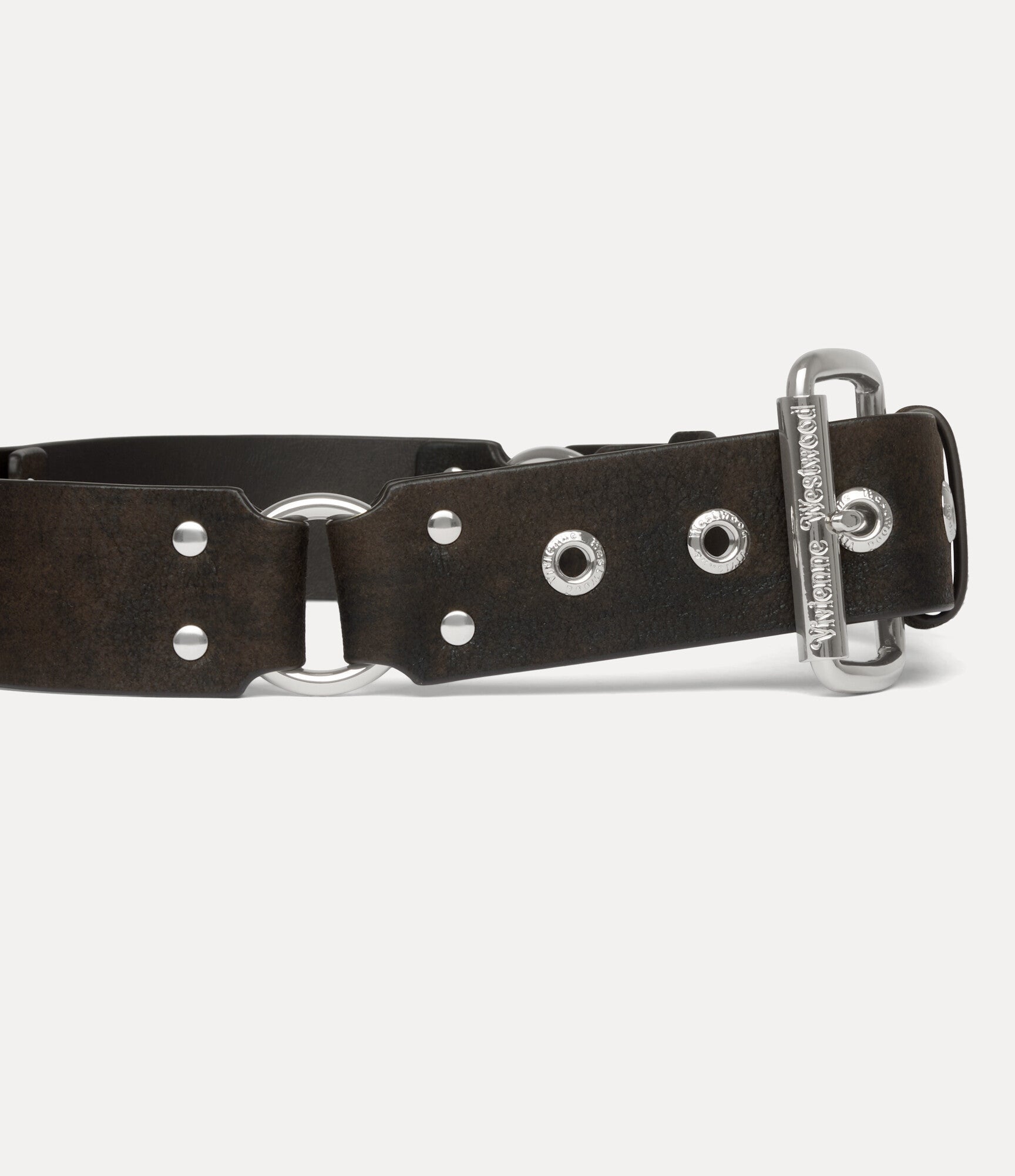 Bondage Belt 3
